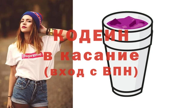 гашик Иннополис